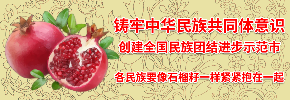 民族团结进步