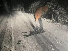 探路