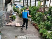 全面开展防登革热喷药消杀工作