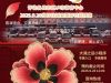 演唱会专线