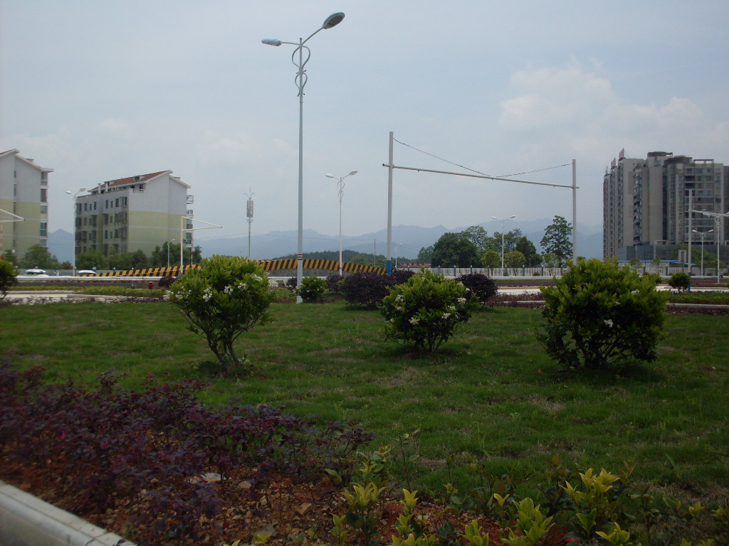 SDC18847.JPG