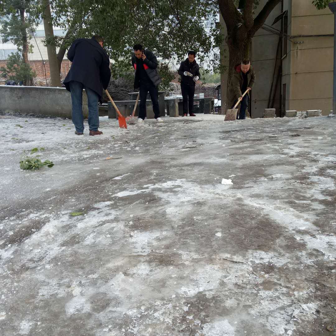 1517363781622468.jpg 城东支部抗冰1 - 副本.jpg