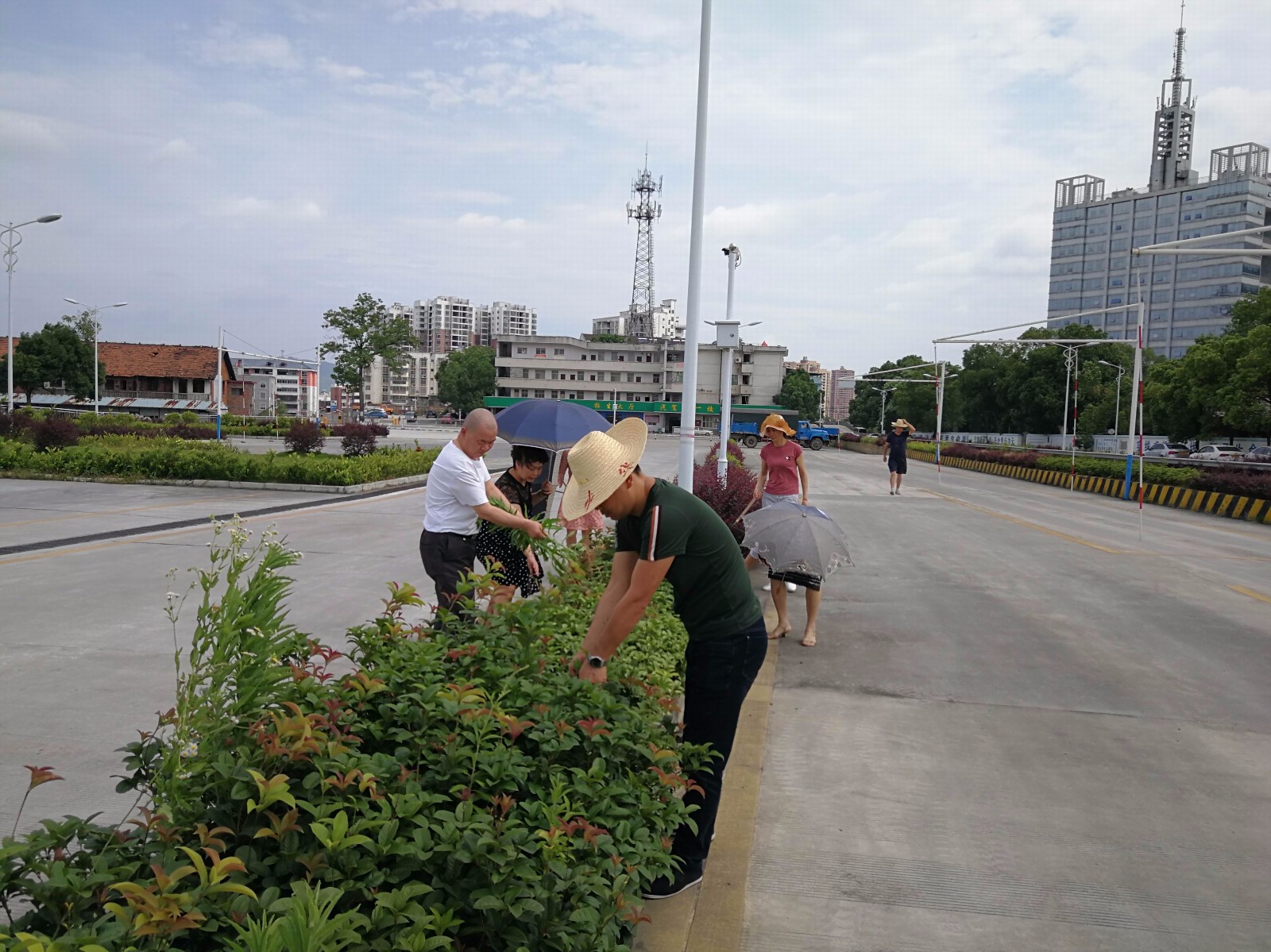 2019除草活动11.jpg